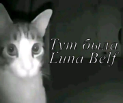 Без названия15_20251110213702.png