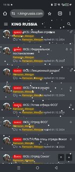 Screenshot_20241229-111623.jpg