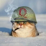 Dmitry_Gereev