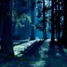 Lucas_Wintov