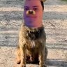 Vovka_Yakudza