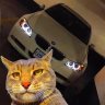 Azamat_Nikitov