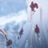 ☬Bounty_Williams☬