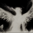 Foster_Black