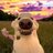 Nikita_Gaming
