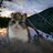Phobia_Wolkers