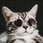 Sergey_Bratok