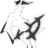 wenzziaproks