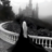 Kenzo_Bewerly