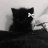 Danya_talworov